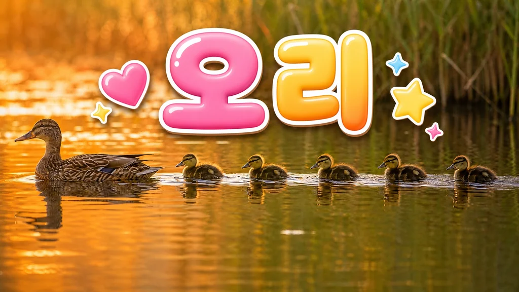 오리 - 오리, 어떤 점이 신기할까요?